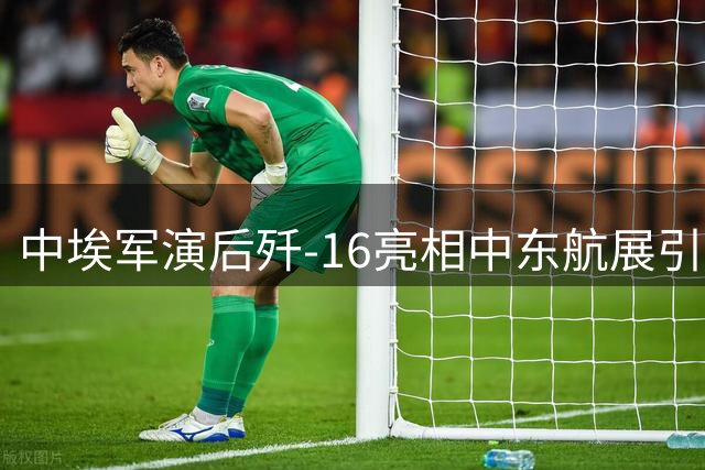 中埃军演后歼-16亮相中东航展引发关注
